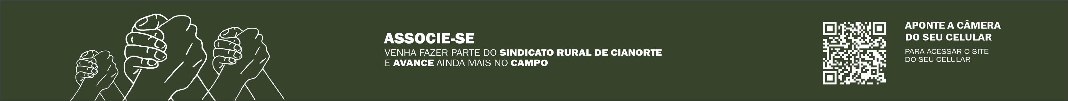 slide-4.jpg
